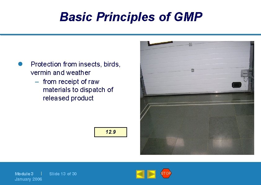 Basic Principles of GMP l Protection from insects, birds, vermin and weather – from