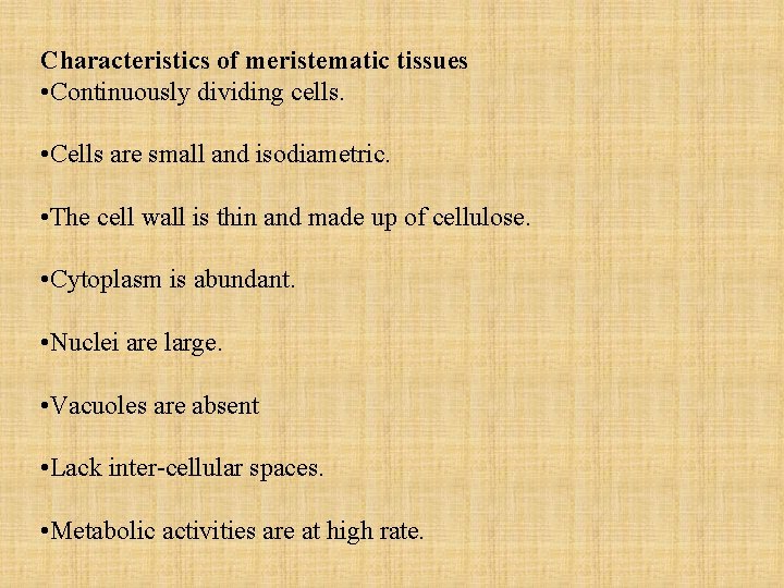 Characteristics of meristematic tissues • Continuously dividing cells. • Cells are small and isodiametric.