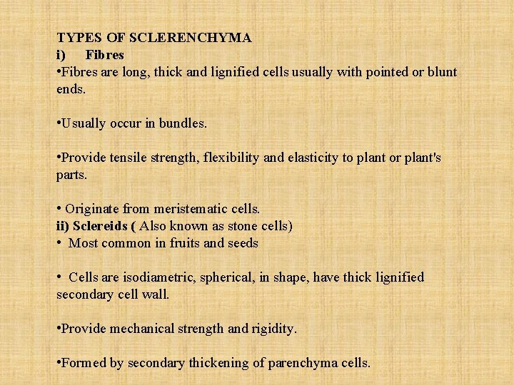 TYPES OF SCLERENCHYMA i) Fibres • Fibres are long, thick and lignified cells usually