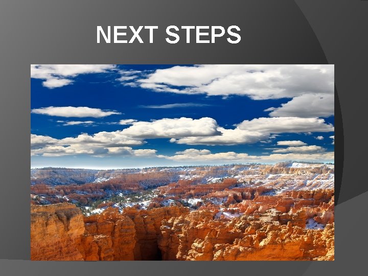 NEXT STEPS 