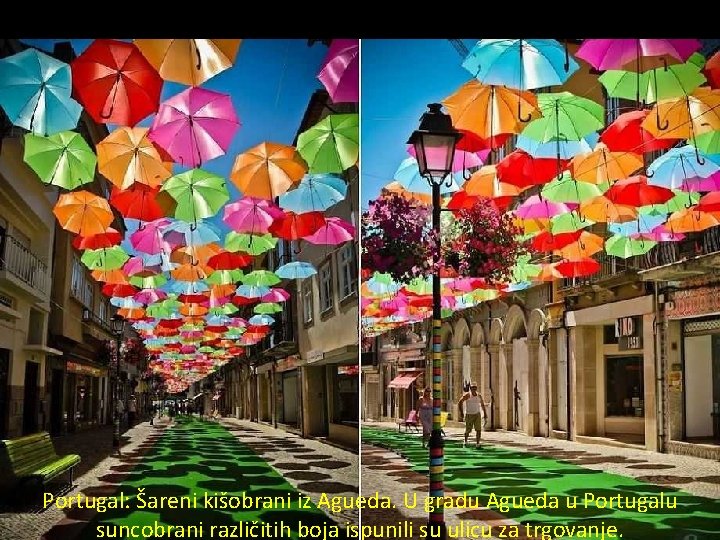 Portugal: Šareni kišobrani iz Agueda. U gradu Agueda u Portugalu suncobrani različitih boja ispunili