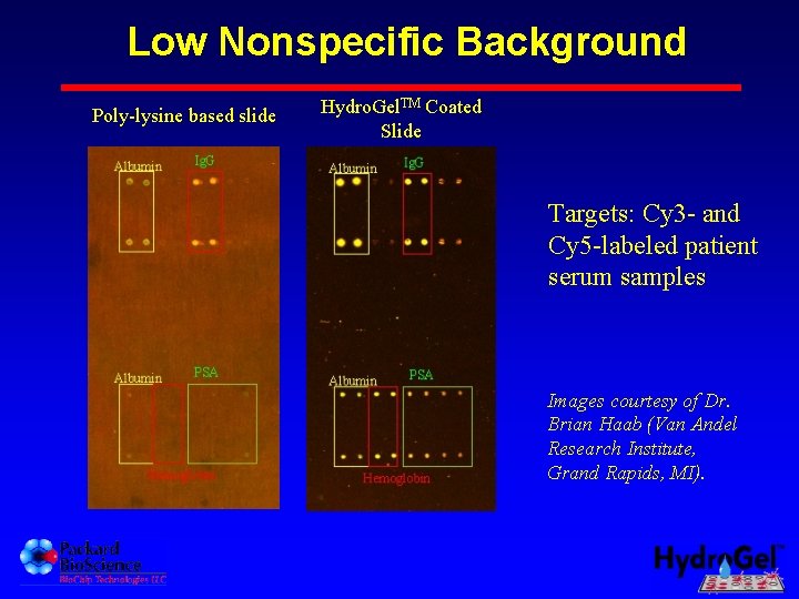 Low Nonspecific Background Poly-lysine based slide Hydro. Gel. TM Coated Slide Targets: Cy 3
