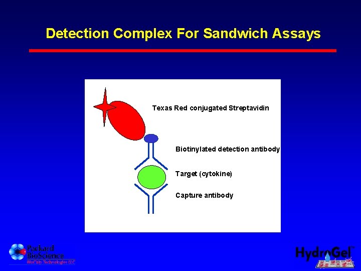 Detection Complex For Sandwich Assays Texas Red conjugated Streptavidin Biotinylated detection antibody Target (cytokine)
