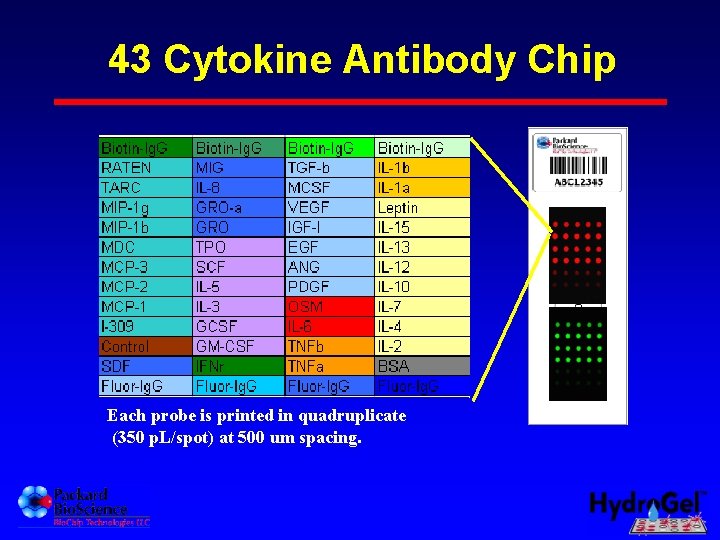 43 Cytokine Antibody Chip Each probe is printed in quadruplicate (350 p. L/spot) at