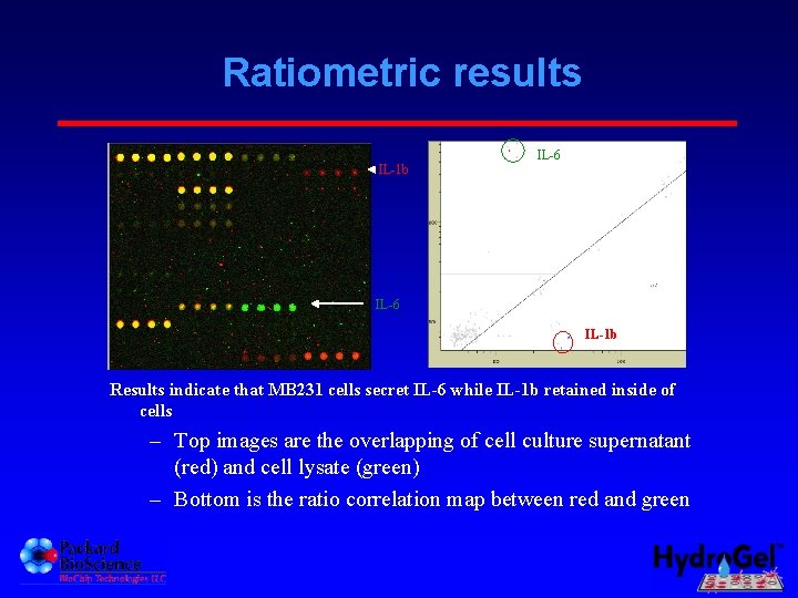 Ratiometric results IL-1 b IL-6 IL-1 b Results indicate that MB 231 cells secret