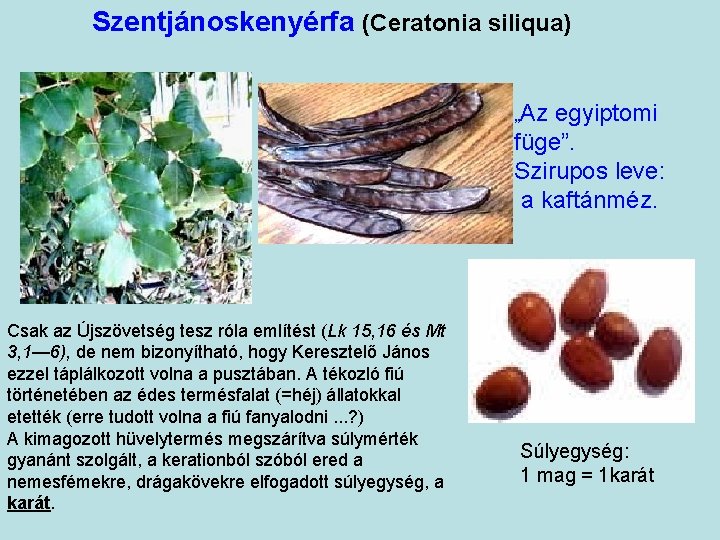 Szentjánoskenyérfa (Ceratonia siliqua) „Az egyiptomi füge”. Szirupos leve: a kaftánméz. Csak az Újszövetség tesz