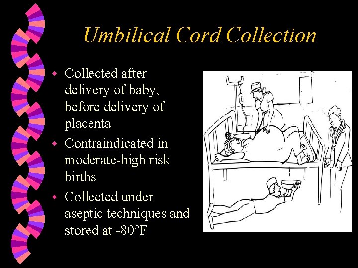 Umbilical Cord Collection Collected after delivery of baby, before delivery of placenta w Contraindicated