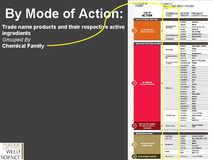 By Mode of Action: Trade name products and their respective active ingredients Grouped By