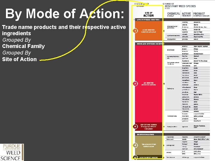 By Mode of Action: Trade name products and their respective active ingredients Grouped By