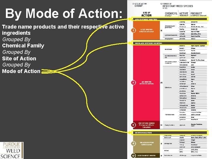 By Mode of Action: Trade name products and their respective active ingredients Grouped By