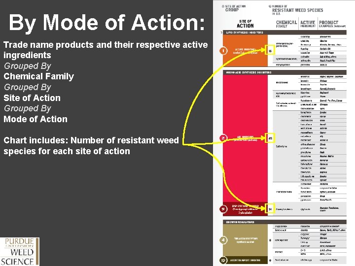 By Mode of Action: Trade name products and their respective active ingredients Grouped By