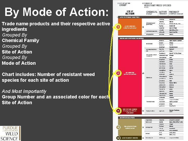 By Mode of Action: Trade name products and their respective active ingredients Grouped By