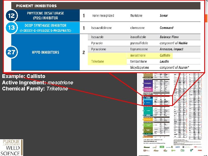 Example: Callisto Active Ingredient: mesotrione Chemical Family: Triketone 