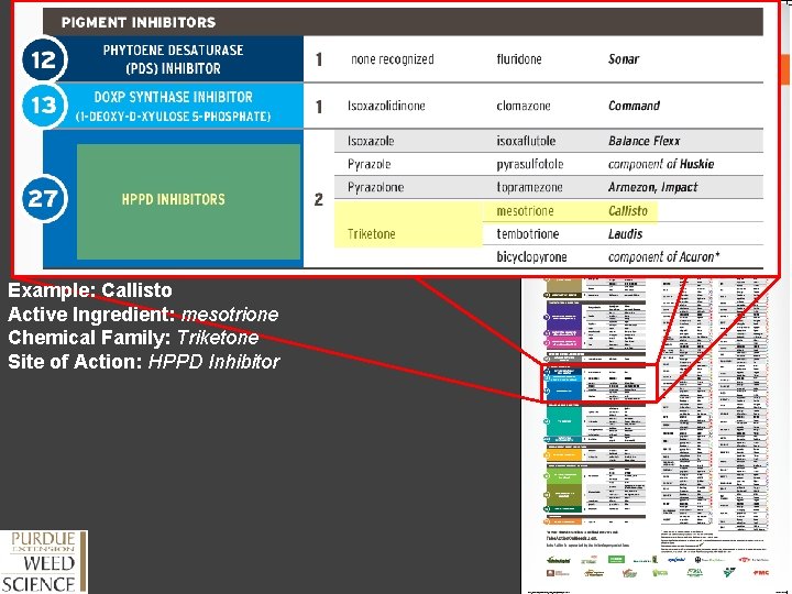 Example: Callisto Active Ingredient: mesotrione Chemical Family: Triketone Site of Action: HPPD Inhibitor 