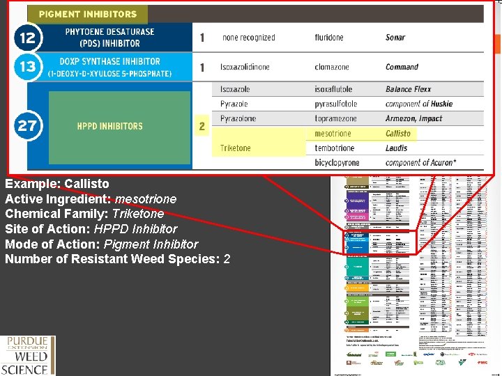 Example: Callisto Active Ingredient: mesotrione Chemical Family: Triketone Site of Action: HPPD Inhibitor Mode