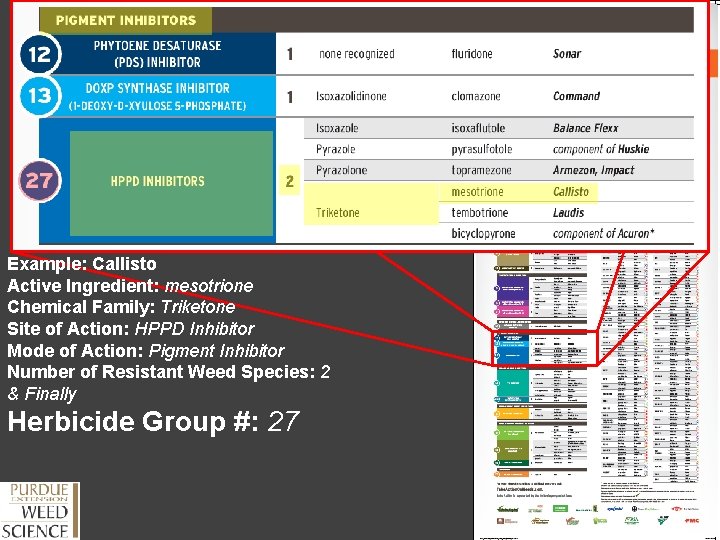Example: Callisto Active Ingredient: mesotrione Chemical Family: Triketone Site of Action: HPPD Inhibitor Mode