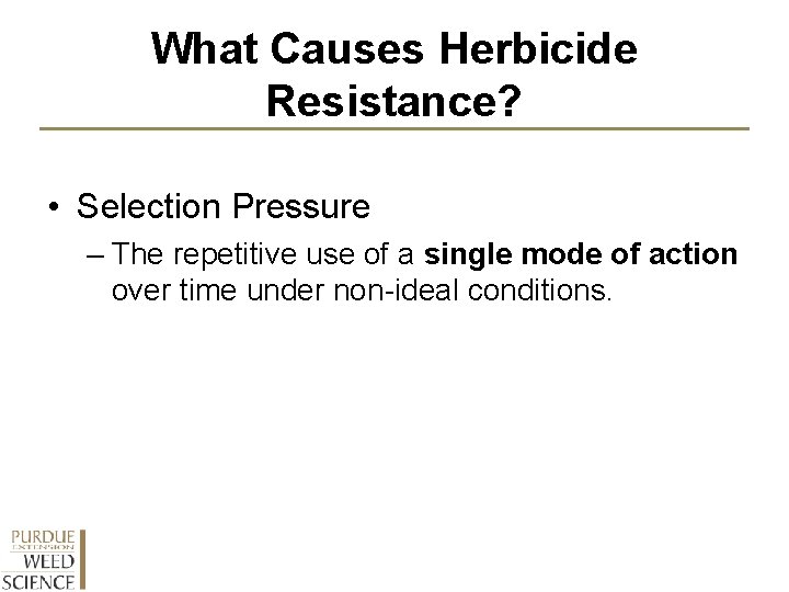 What Causes Herbicide Resistance? • Selection Pressure – The repetitive use of a single