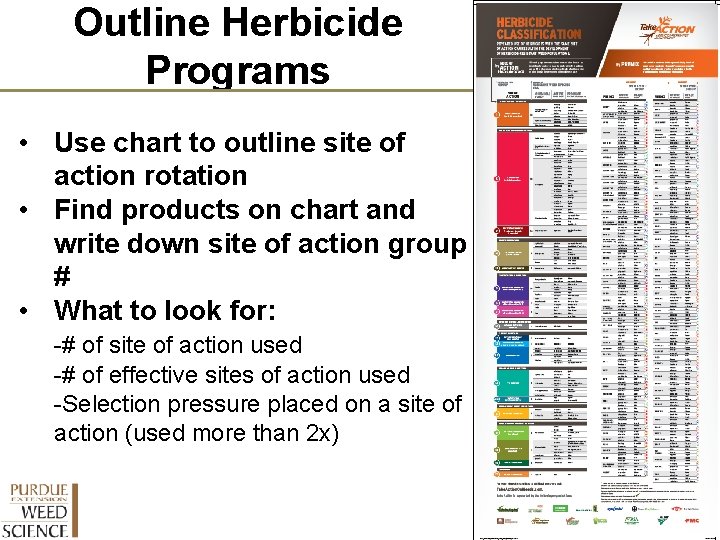 Outline Herbicide Programs • Use chart to outline site of action rotation • Find