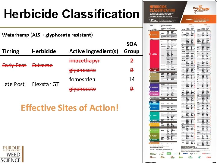 Herbicide Classification Waterhemp (ALS + glyphosate resistant) Timing Herbicide Early Post Extreme Late Post