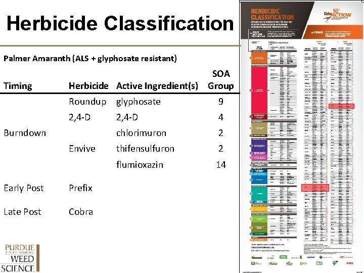Herbicide Classification Palmer Amaranth (ALS + glyphosate resistant) Timing SOA Herbicide Active Ingredient(s) Group