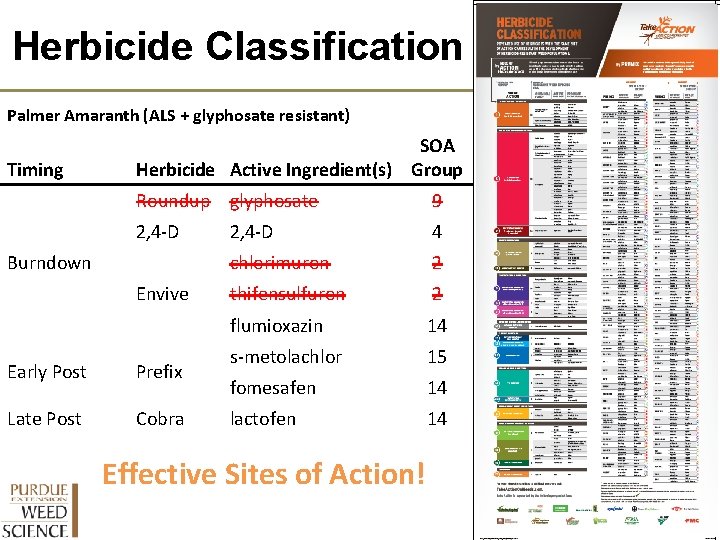 Herbicide Classification Palmer Amaranth (ALS + glyphosate resistant) Timing SOA Herbicide Active Ingredient(s) Group