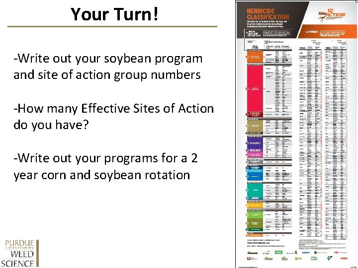 Your Turn! -Write out your soybean program and site of action group numbers -How