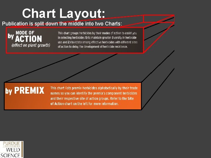 Chart Layout: Publication is split down the middle into two Charts: 