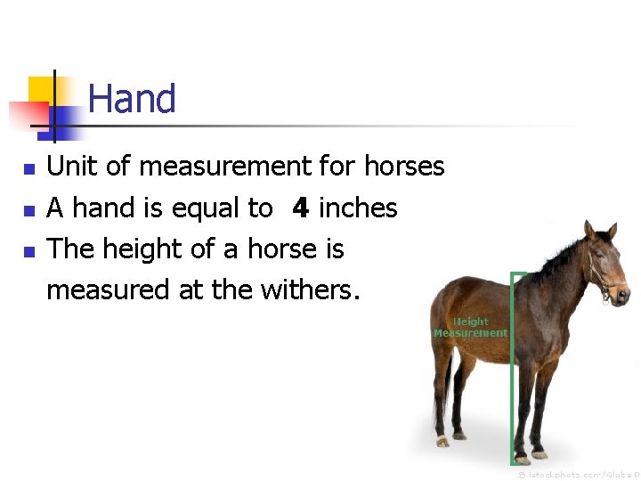 Hand n n n Unit of measurement for horses A hand is equal to