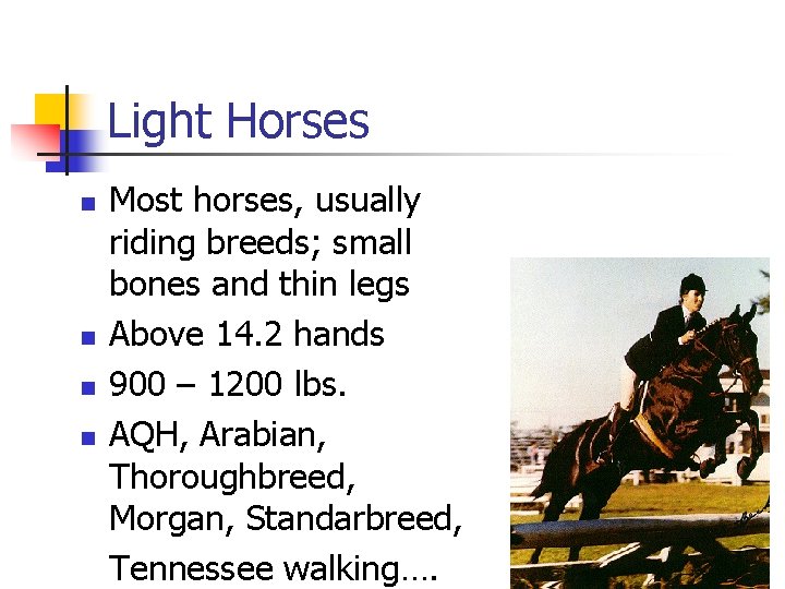 Light Horses n n Most horses, usually riding breeds; small bones and thin legs
