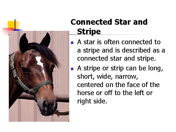 Connected Star and Stripe n n A star is often connected to a stripe
