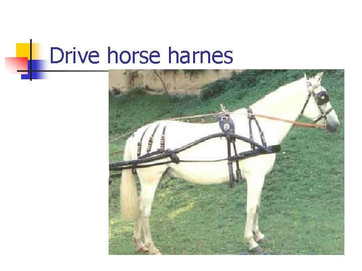 Drive horse harnes 