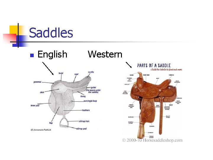 Saddles n English Western 
