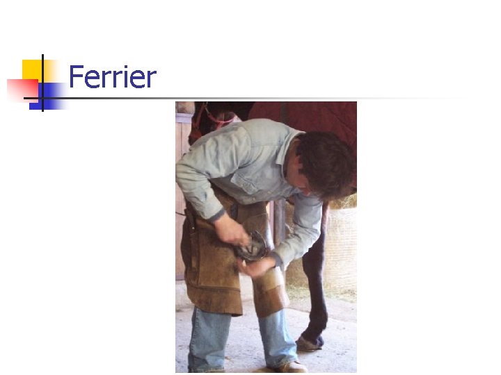 Ferrier 