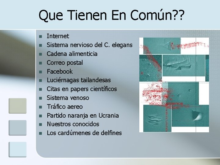 Que Tienen En Común? ? n n n Internet Sistema nervioso del C. elegans