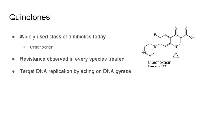 Quinolones ● Widely used class of antibiotics today ○ Ciprofloxacin ● Resistance observed in