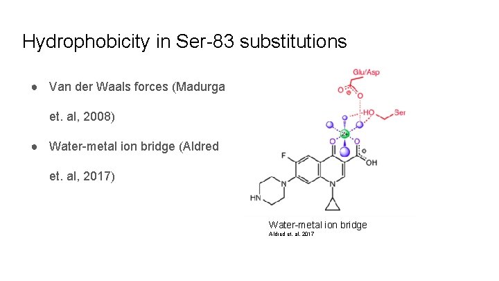 Hydrophobicity in Ser-83 substitutions ● Van der Waals forces (Madurga et. al, 2008) ●
