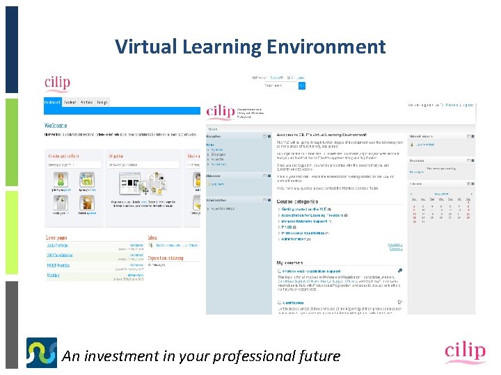 Virtual Learning Environment An investment in your professional future 