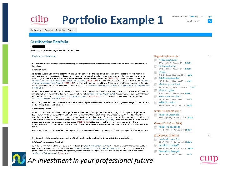 Portfolio Example 1 An investment in your professional future 