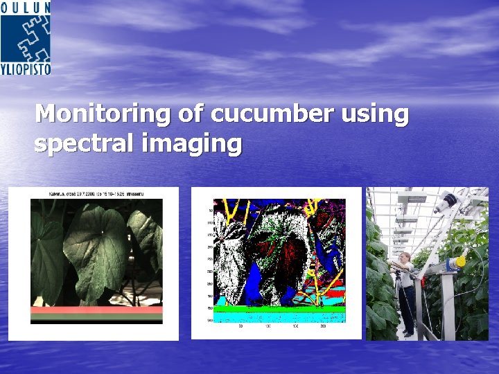 Monitoring of cucumber using spectral imaging 