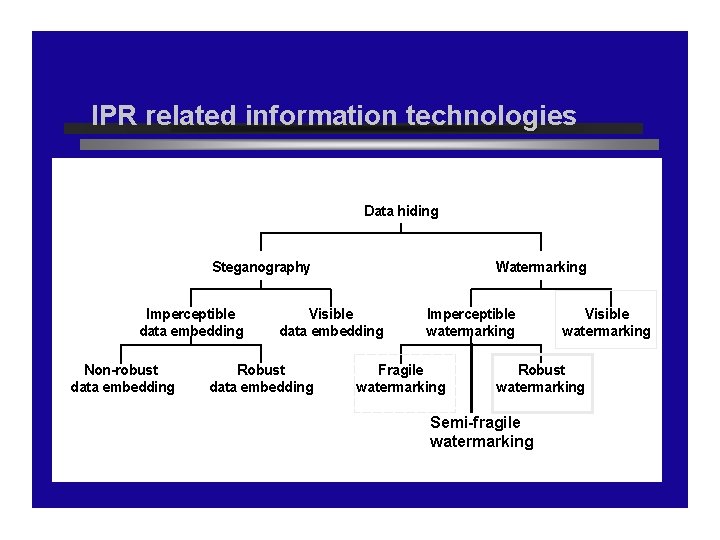 IPR related information technologies Data hiding Steganography Imperceptible data embedding Non-robust data embedding Watermarking