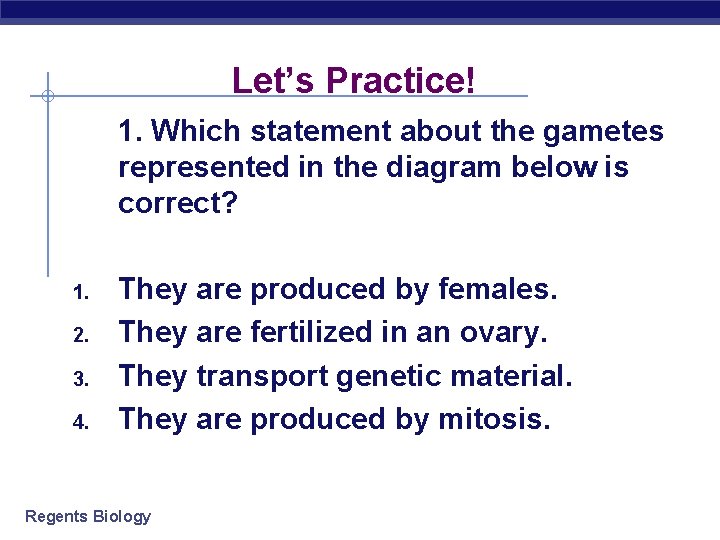 Let’s Practice! 1. Which statement about the gametes represented in the diagram below is