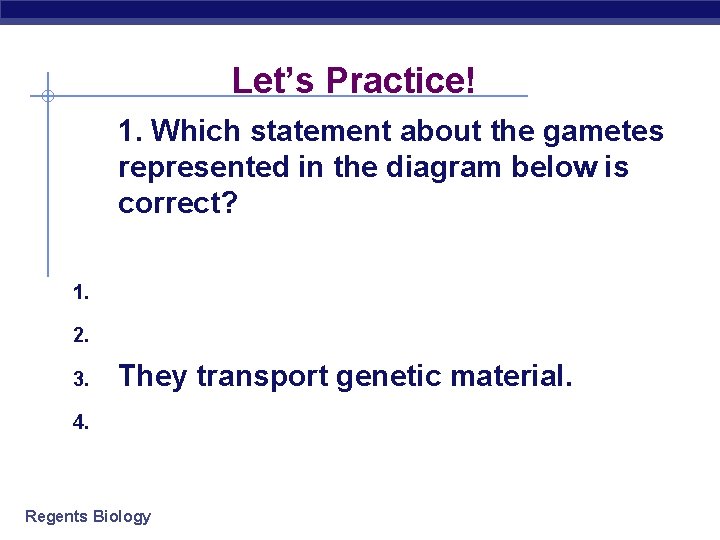 Let’s Practice! 1. Which statement about the gametes represented in the diagram below is
