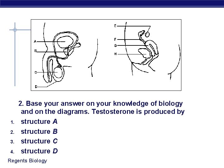  2. Base your answer on your knowledge of biology and on the diagrams.