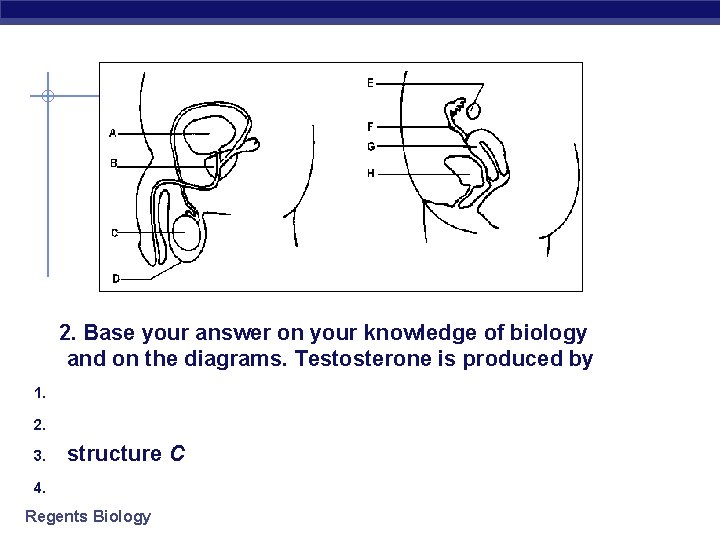  2. Base your answer on your knowledge of biology and on the diagrams.