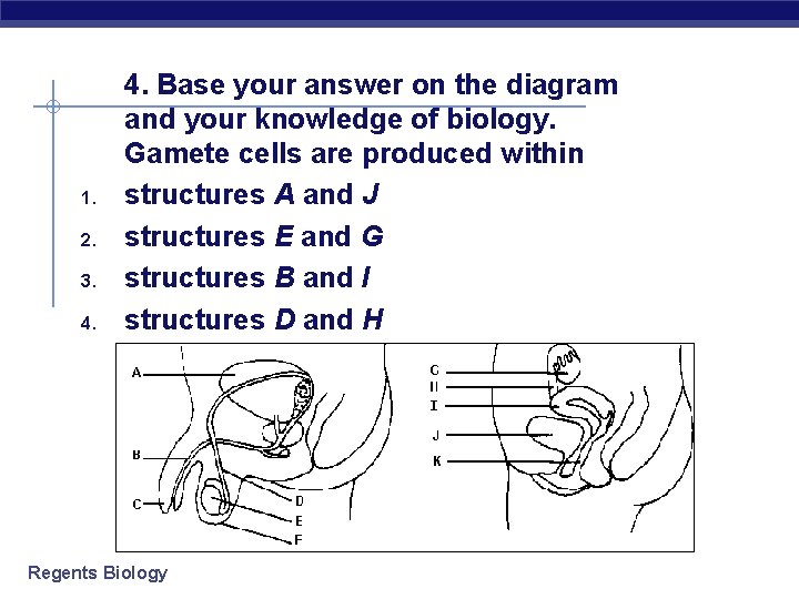 1. 2. 3. 4. Base your answer on the diagram and your knowledge of