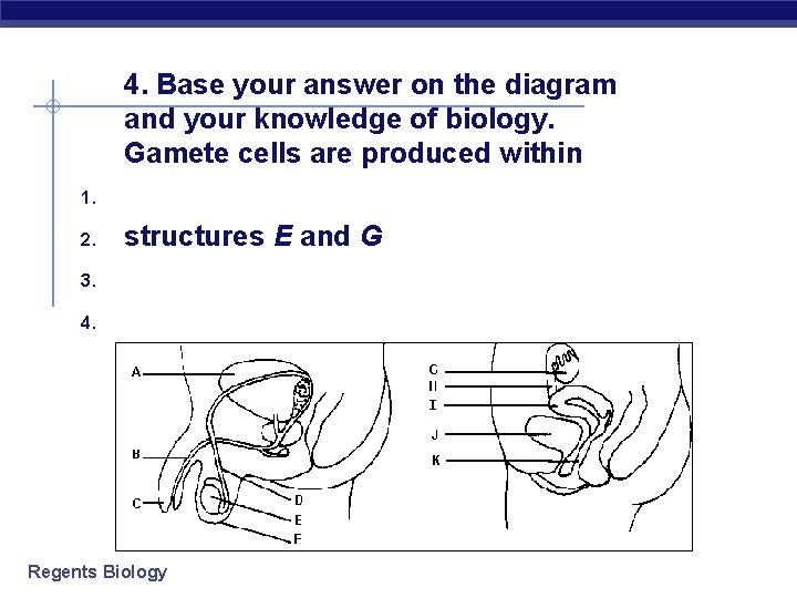 1. 2. 3. 4. Base your answer on the diagram and your knowledge of