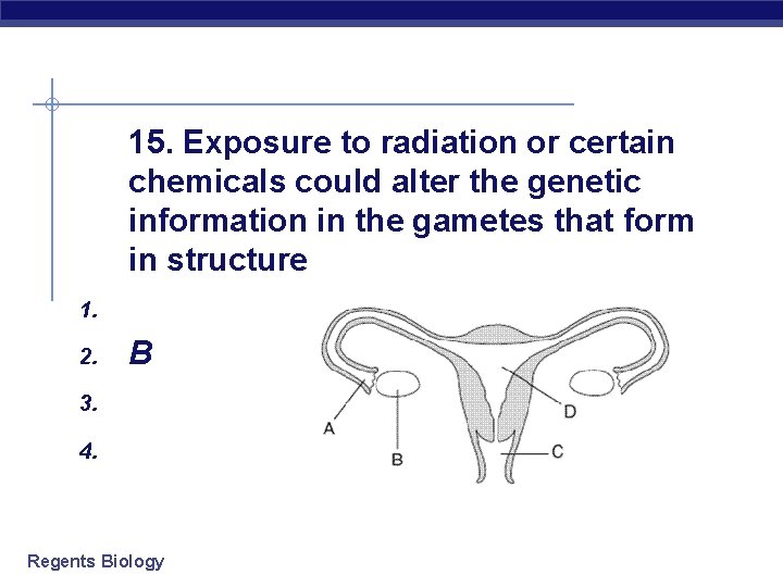 15. Exposure to radiation or certain chemicals could alter the genetic information in the