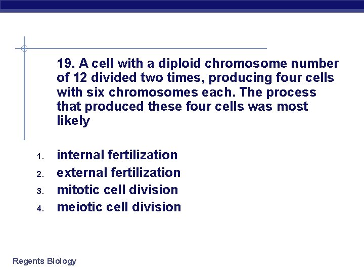 19. A cell with a diploid chromosome number of 12 divided two times, producing