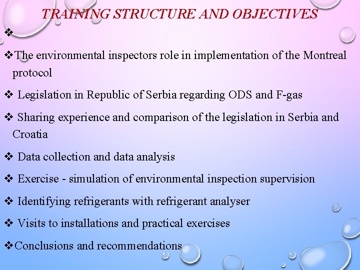 TRAINING STRUCTURE AND OBJECTIVES v v. The environmental inspectors role in implementation of the