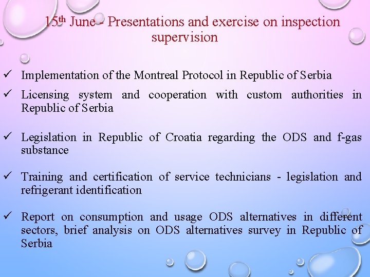 15 th June - Presentations and exercise on inspection supervision ü Implementation of the